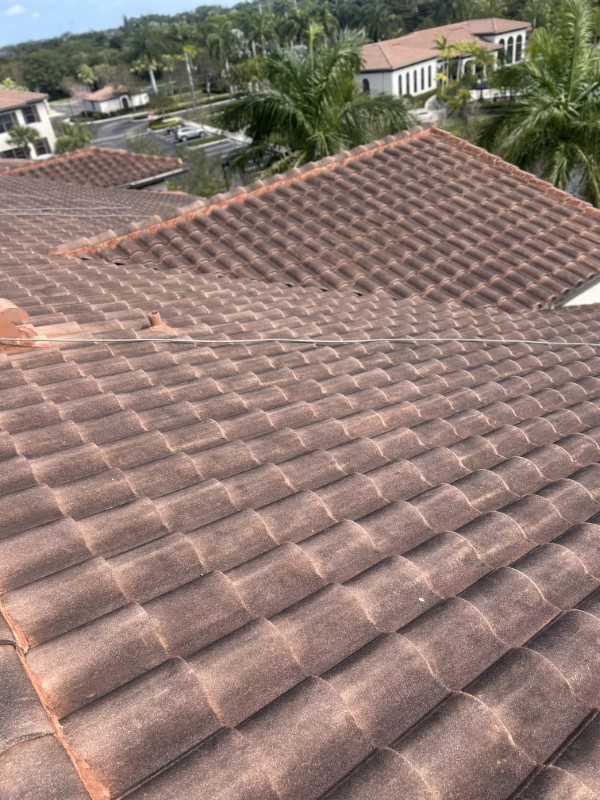 Soft Washing Roof Job in Wellington, FL